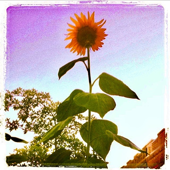 Meet your Posher, Mari - Picture 2 of 3